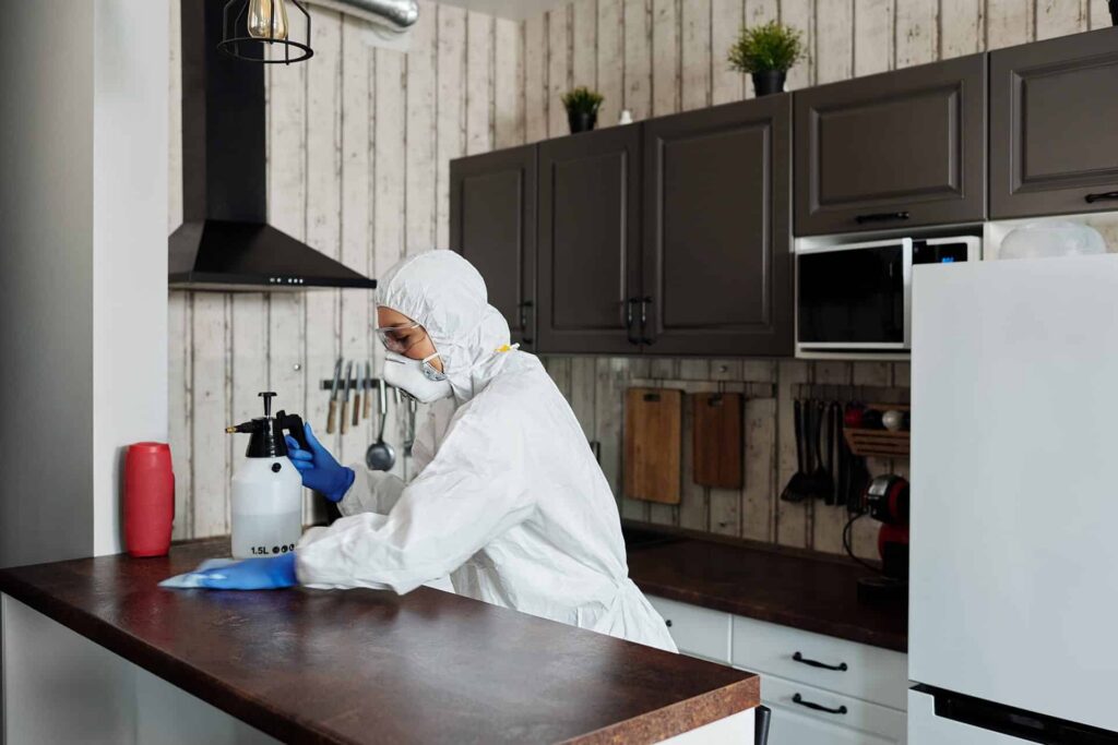 The best kitchen cleaning tips and tricks pexels matilda wormwood 4099470